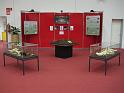 VIVARIUM Krokodil Artenschutz-Ausstellung1